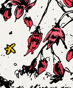 the things we are & the things we'll never become